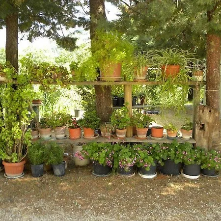 Col Cacione Farma Assisi