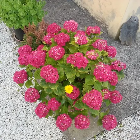 Col Cacione Farm stay