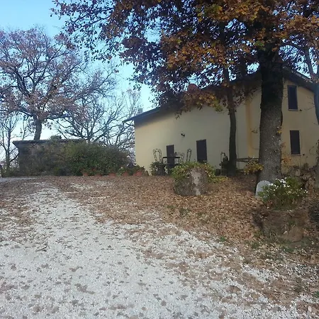 Farma Col Cacione