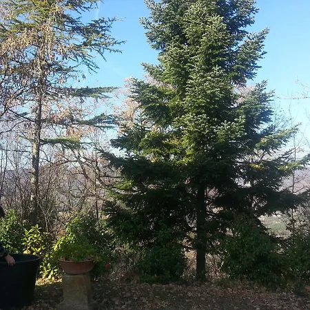 Col Cacione Farm stay