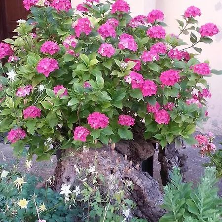 Séjour à la ferme Col Cacione *